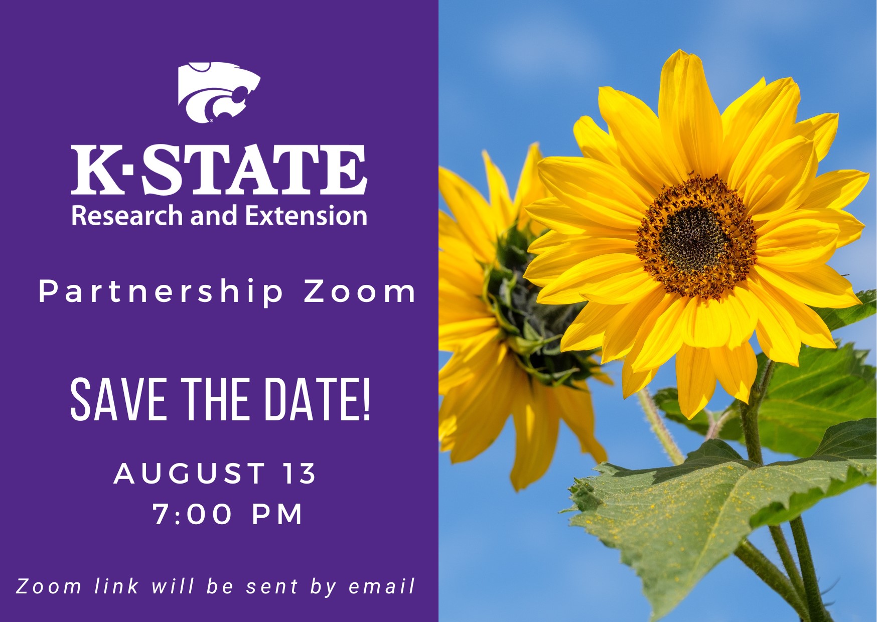 Bright sunflowers alongside the text: Save the Date for the upcoming K-State Research and Extension Partnership meeting. August 13 at 7 pm.  Zoom link will be sent by email.