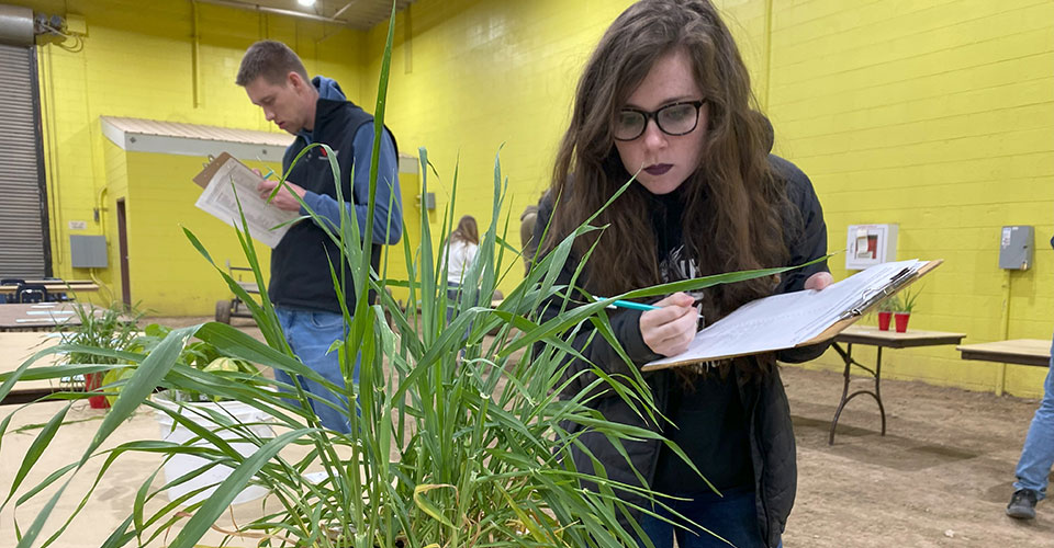 Woman looking at crops, writing notes on clipboard Woman looking at crops, writing notes on clipboard