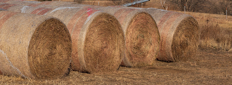 Round bales