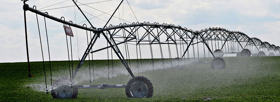 center pivot sprinkler in lush, green farm field