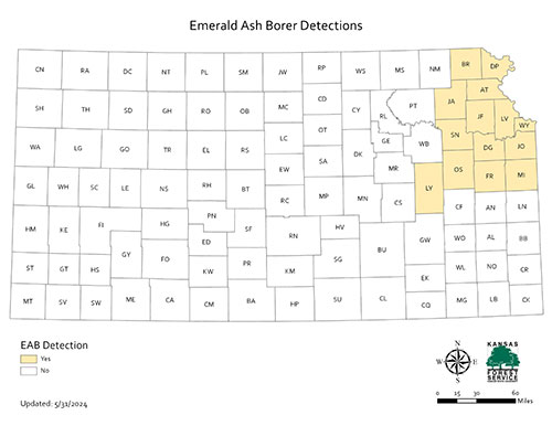 Map, emerald ash borer in 14 Kansas counties