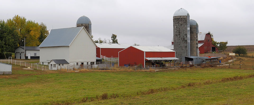 Kansas farm scene, red barn and silos