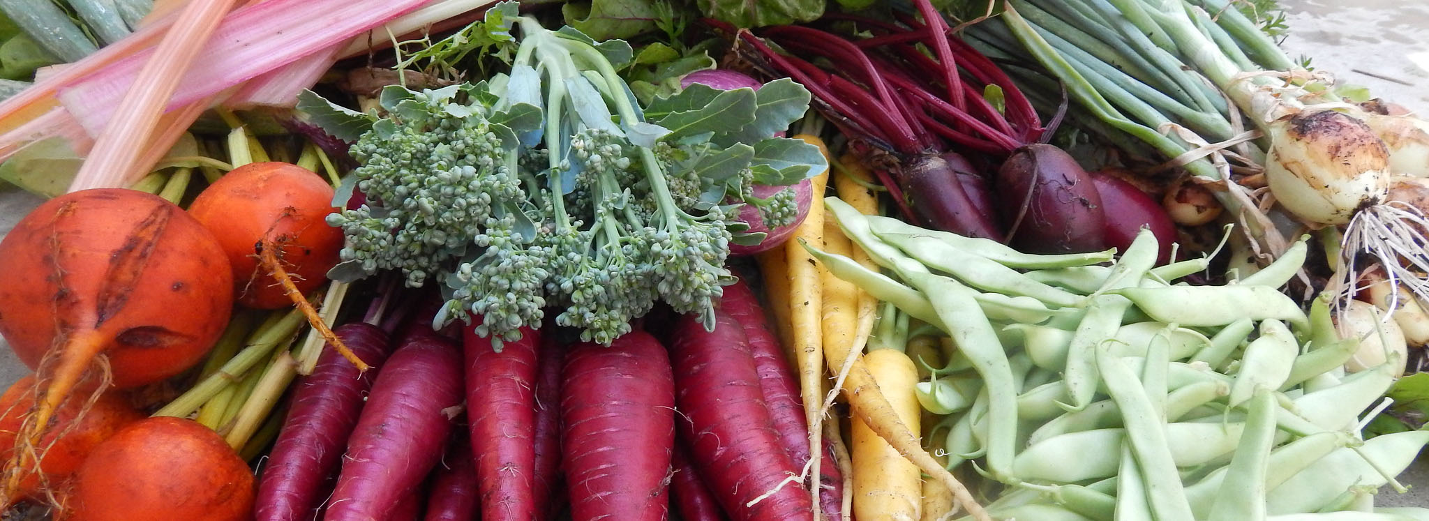 An assortment of vegetables