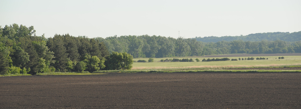 A field in Kansas.