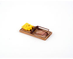 mouse trap