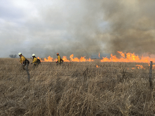 Wildland Fire Mitigation, two firemen in burning field Wildland Fire Mitigation, two firemen in burning field