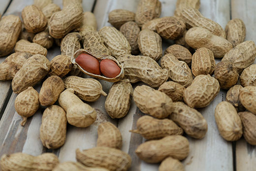 Peanuts in shells laid out on counter