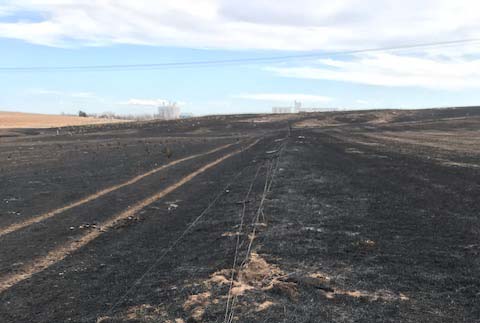 post fire fence