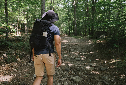 Man with backpack entering tree-lined path