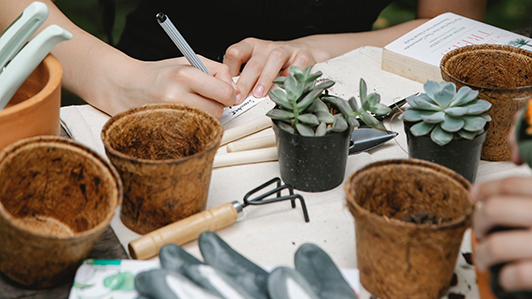 empty pots and seed packets spread on a table